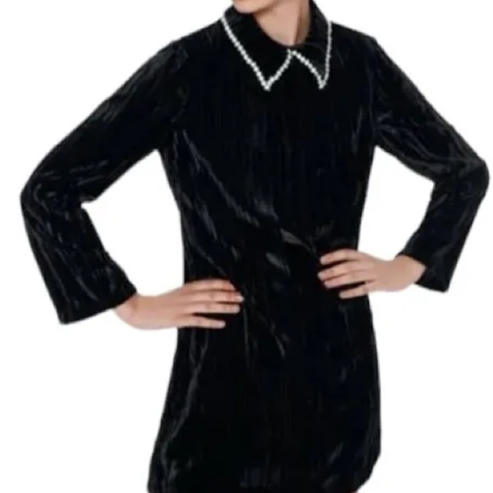 Zara Black Velvet Dress with rhinestone Collar